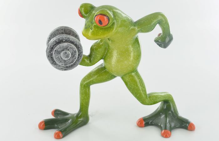 Fiesta Studios Ltd - Comical Frogs Wholesale UK