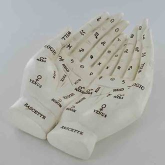 39721 Cupped Palmistry Hands (Can Hang) 
